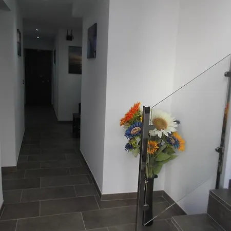 Maria Jose Guest house *